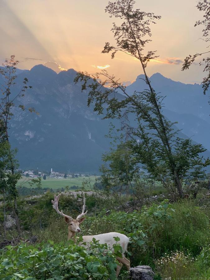 Pradileva Daire Tramonti di Sotto Dış mekan fotoğraf