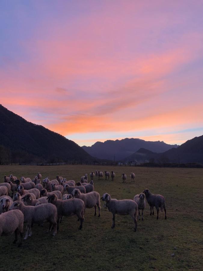 Pradileva Daire Tramonti di Sotto Dış mekan fotoğraf