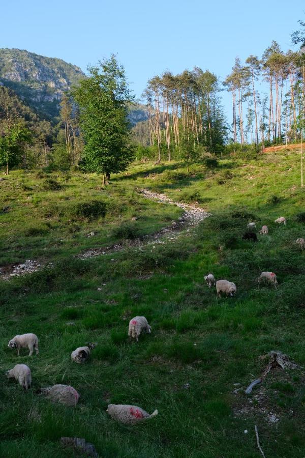 Pradileva Daire Tramonti di Sotto Dış mekan fotoğraf