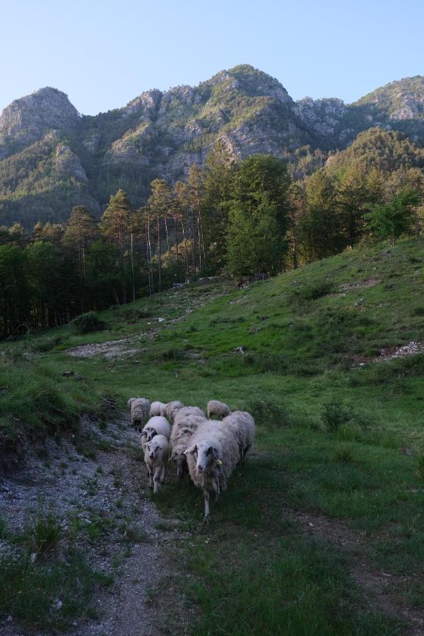 Pradileva Daire Tramonti di Sotto Dış mekan fotoğraf