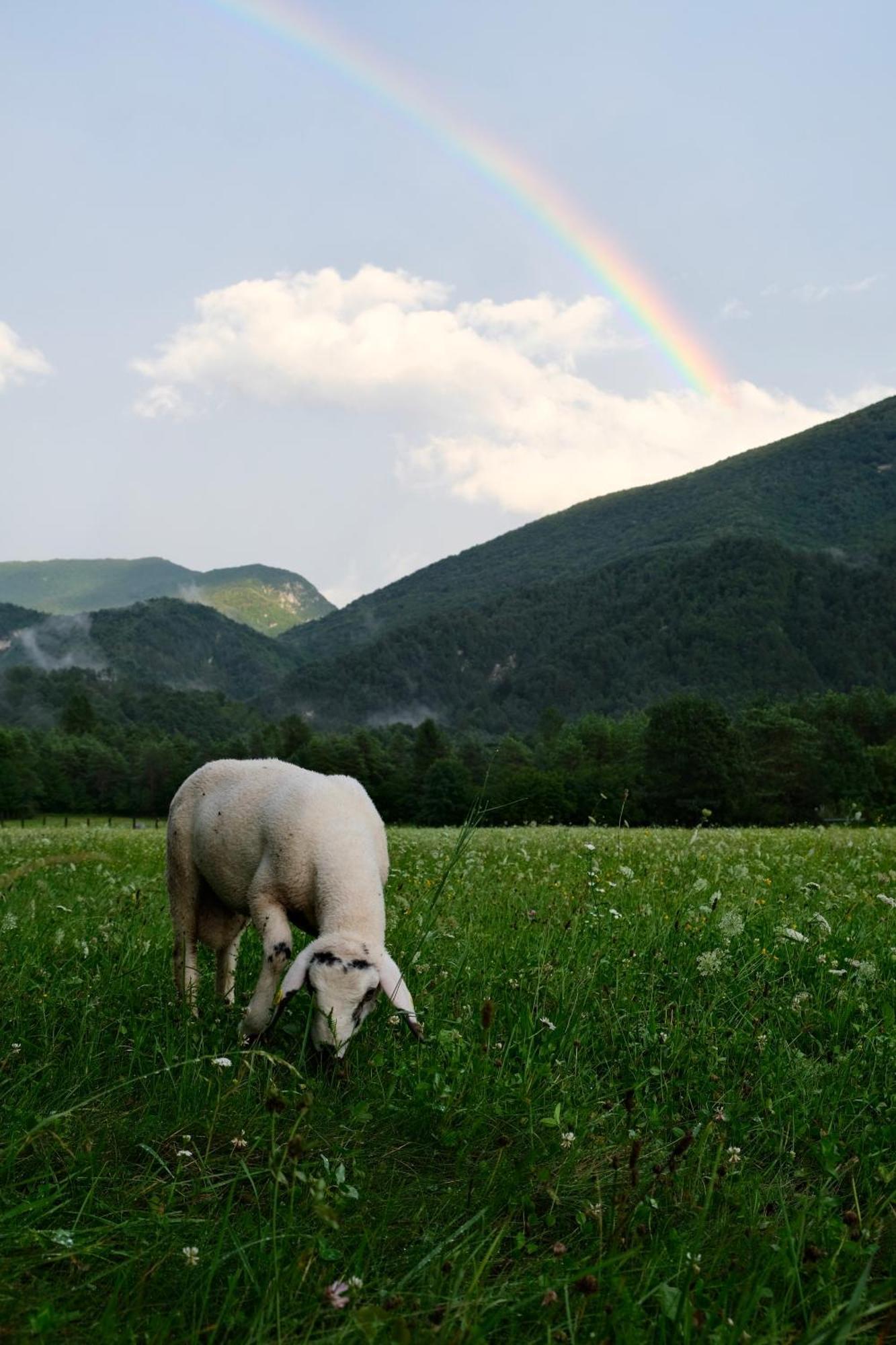 Pradileva Daire Tramonti di Sotto Dış mekan fotoğraf