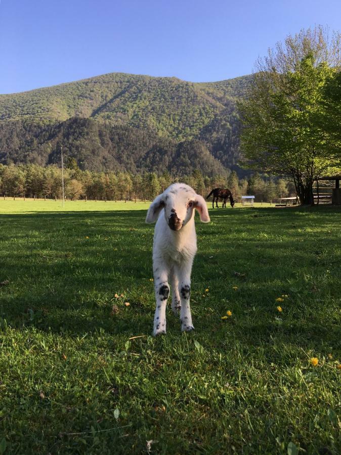 Pradileva Daire Tramonti di Sotto Dış mekan fotoğraf